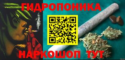 ECSTASY Кандалакша