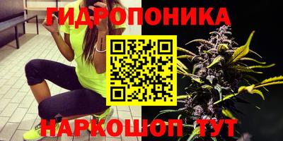 ECSTASY Кандалакша