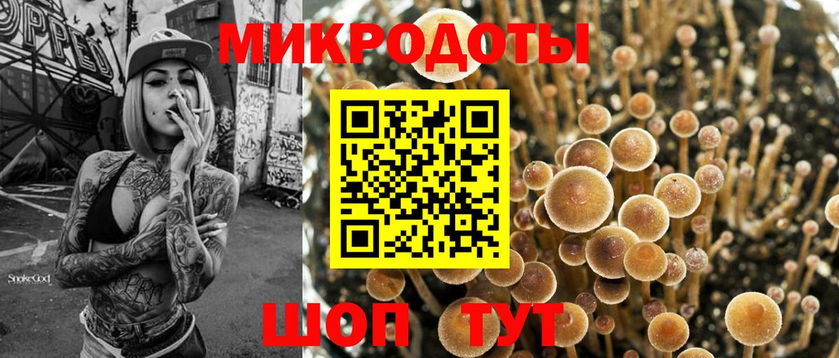 Псилоцибиновые грибы мухоморы  Вход с VPN  Псилоцибиновые грибы Cubensis  Карачаевск 