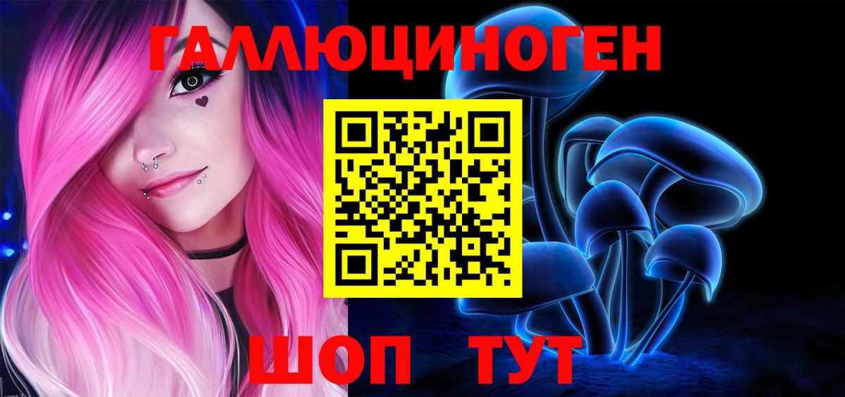 Псилоцибиновые грибы Cubensis Карачаевск